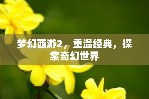 梦幻西游2,重温经典,探索奇幻世界 梦幻西游2,重温经典,探索奇幻世界