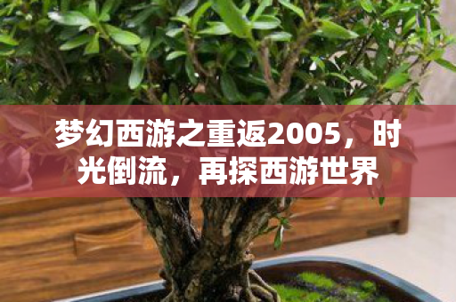 梦幻西游之重返2005,时光倒流,再探西游世界 梦幻西游之重返2005,时光倒流,再探西游世界