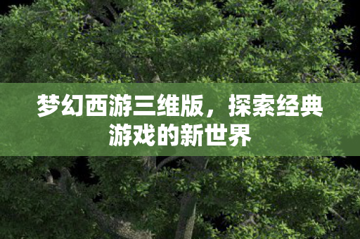 梦幻西游三维版,探索经典游戏的新世界 梦幻西游三维版,探索经典游戏的新世界