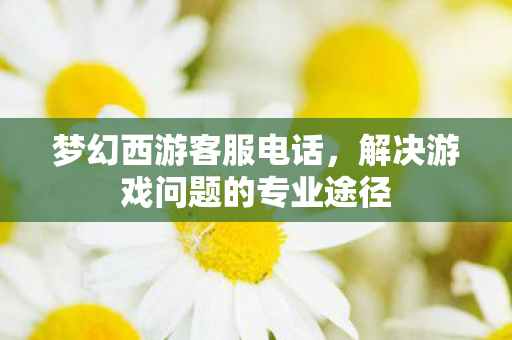 梦幻西游客服电话,解决游戏问题的专业途径 梦幻西游客服电话,解决游戏问题的专业途径