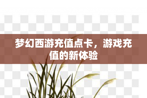 梦幻西游充值点卡,游戏充值的新体验 梦幻西游充值点卡,游戏充值的新体验