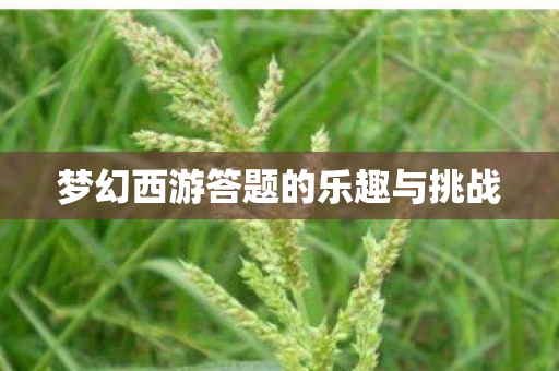 梦幻西游答题的乐趣与挑战 梦幻西游答题的乐趣与挑战
