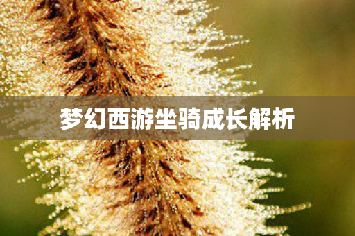 梦幻西游坐骑成长解析 梦幻西游坐骑成长解析