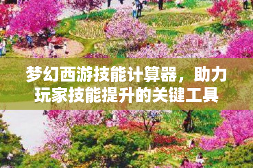 梦幻西游技能计算器,助力玩家技能提升的关键工具 梦幻西游技能计算器,助力玩家技能提升的关键工具