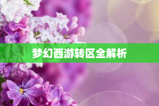 梦幻西游转区全解析 梦幻西游转区全解析