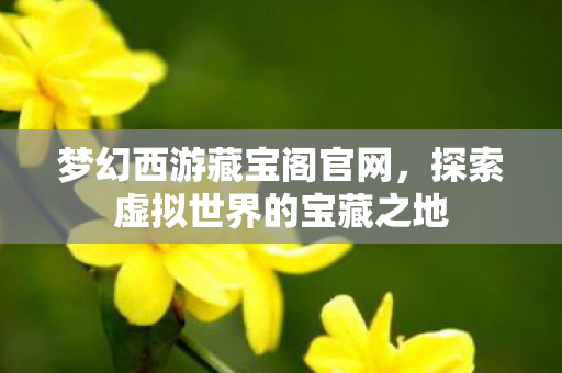 梦幻西游藏宝阁官网,探索虚拟世界的宝藏之地 梦幻西游藏宝阁官网,探索虚拟世界的宝藏之地