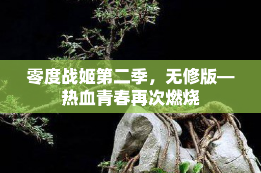 零度战姬第二季,无修版—热血青春再次燃烧 零度战姬第二季,无修版—热血青春再次燃烧