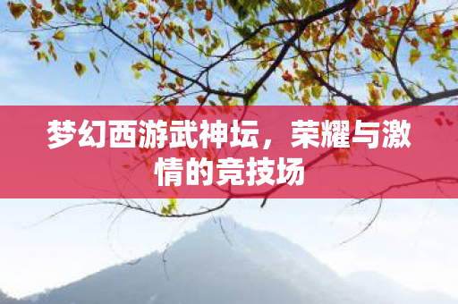 梦幻西游武神坛,荣耀与激情的竞技场 梦幻西游武神坛,荣耀与激情的竞技场
