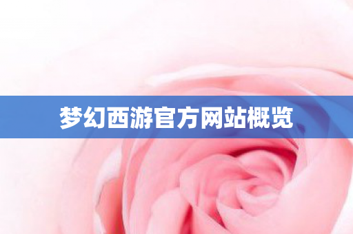 梦幻西游官方网站概览 梦幻西游官方网站概览