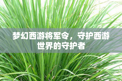 梦幻西游将军令,守护西游世界的守护者 梦幻西游将军令,守护西游世界的守护者