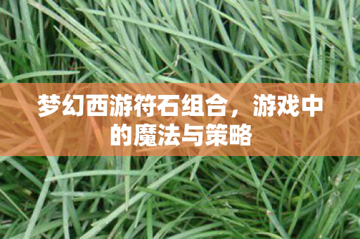 梦幻西游符石组合,游戏中的魔法与策略 梦幻西游符石组合,游戏中的魔法与策略