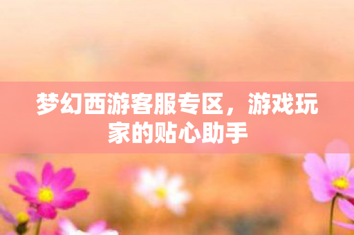 梦幻西游客服专区，游戏玩家的贴心助手
