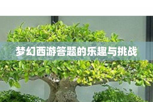 梦幻西游答题的乐趣与挑战