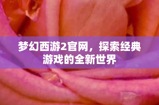 梦幻西游2官网,探索经典游戏的全新世界 梦幻西游2官网,探索经典游戏的全新世界