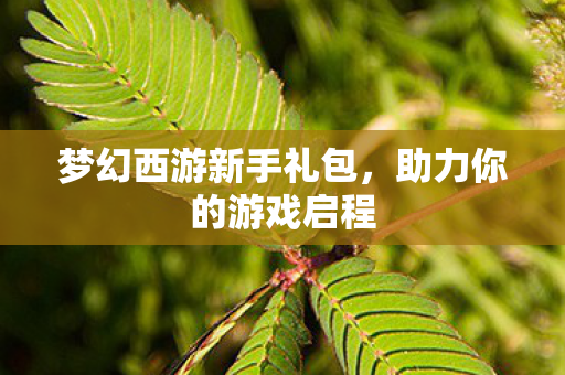 梦幻西游新手礼包,助力你的游戏启程 梦幻西游新手礼包,助力你的游戏启程