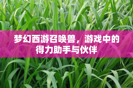 梦幻西游召唤兽,游戏中的得力助手与伙伴 梦幻西游召唤兽,游戏中的得力助手与伙伴