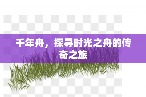 千年舟，探寻时光之舟的传奇之旅