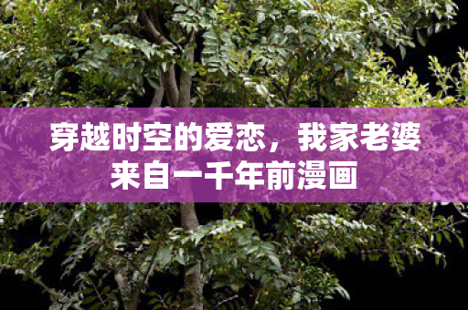穿越时空的爱恋，我家老婆来自一千年前漫画