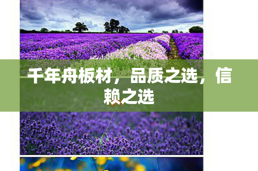 千年舟板材,品质之选,信赖之选 千年舟板材,品质之选,信赖之选
