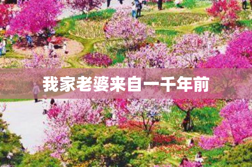 我家老婆来自一千年前 我家老婆来自一千年前