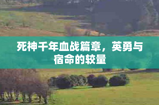 死神千年血战篇章,英勇与宿命的较量 死神千年血战篇章,英勇与宿命的较量