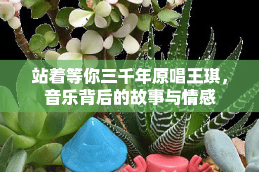 站着等你三千年原唱王琪,音乐背后的故事与情感 站着等你三千年原唱王琪,音乐背后的故事与情感