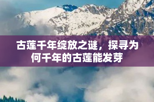 古莲千年绽放之谜，探寻为何千年的古莲能发芽