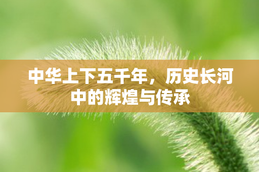中华上下五千年,历史长河中的辉煌与传承 中华上下五千年,历史长河中的辉煌与传承