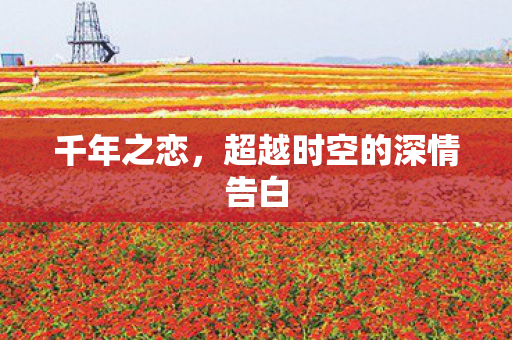 千年之恋,超越时空的深情告白 千年之恋,超越时空的深情告白