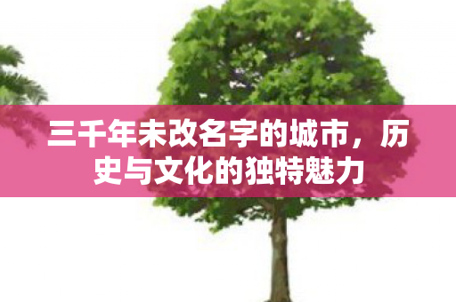 三千年未改名字的城市,历史与文化的独特魅力 三千年未改名字的城市,历史与文化的独特魅力