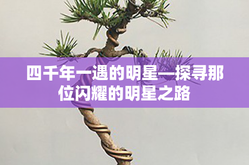 四千年一遇的明星—探寻那位闪耀的明星之路 四千年一遇的明星—探寻那位闪耀的明星之路