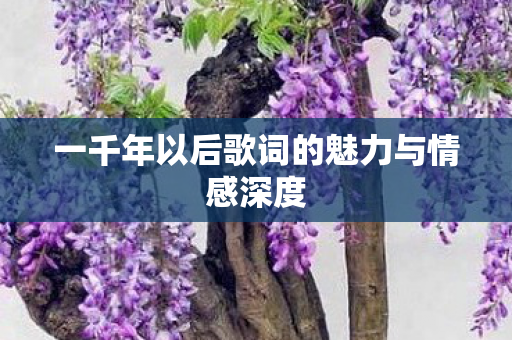 一千年以后歌词的魅力与情感深度 一千年以后歌词的魅力与情感深度
