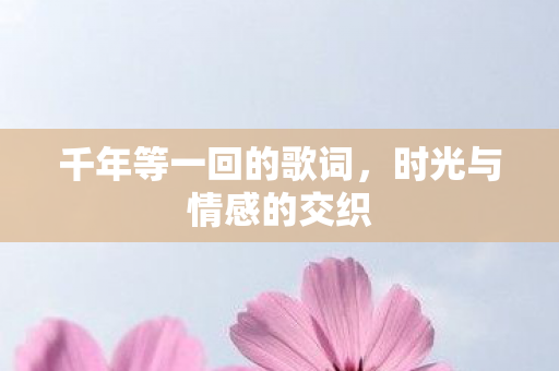 千年等一回的歌词，时光与情感的交织