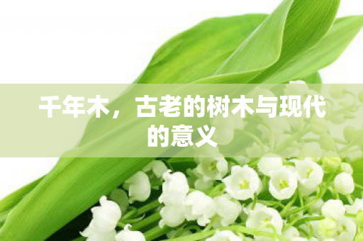 千年木,古老的树木与现代的意义 千年木,古老的树木与现代的意义
