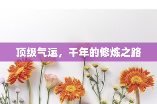 顶级气运，千年的修炼之路