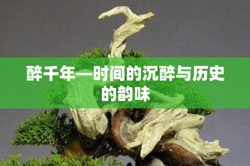 醉千年—时间的沉醉与历史的韵味