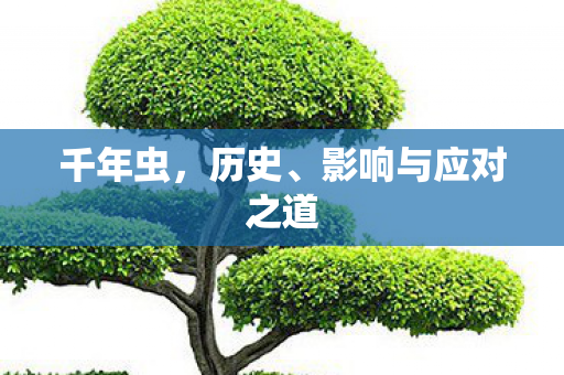 千年虫,历史、影响与应对之道 千年虫,历史、影响与应对之道