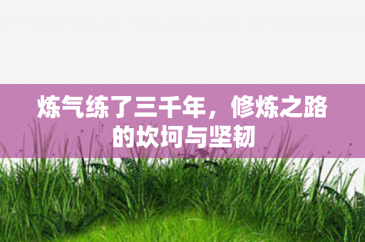 炼气练了三千年,修炼之路的坎坷与坚韧 炼气练了三千年,修炼之路的坎坷与坚韧