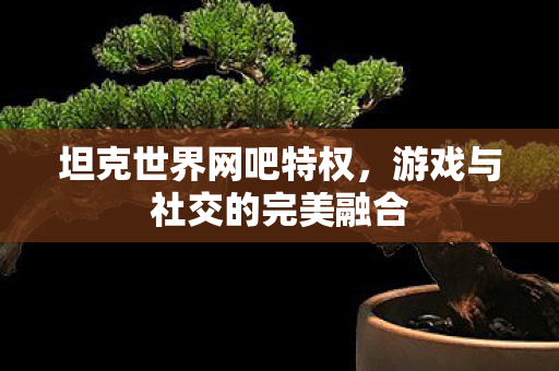 坦克世界网吧特权，游戏与社交的完美融合