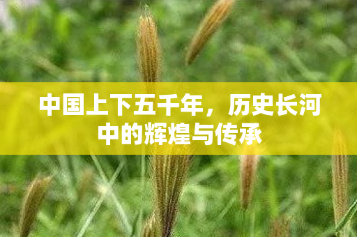 中国上下五千年，历史长河中的辉煌与传承