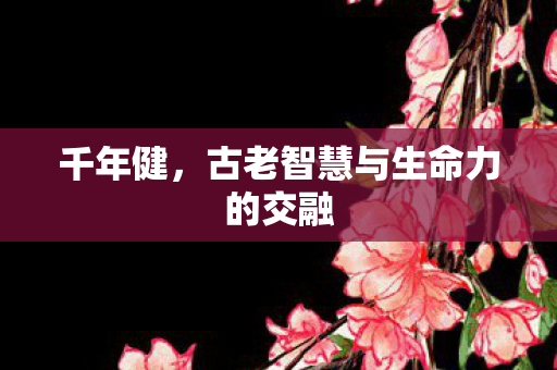 千年健,古老智慧与生命力的交融 千年健,古老智慧与生命力的交融