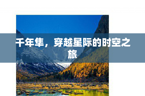 千年隼，穿越星际的时空之旅