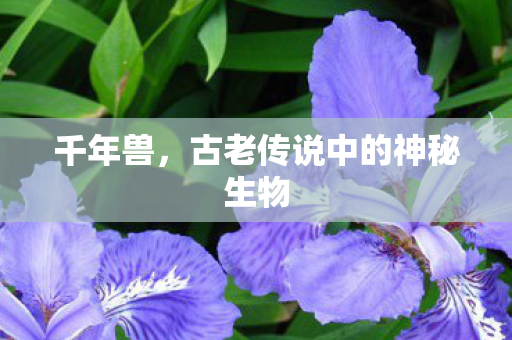 千年兽,古老传说中的神秘生物 千年兽,古老传说中的神秘生物