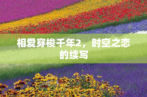 相爱穿梭千年2，时空之恋的续写