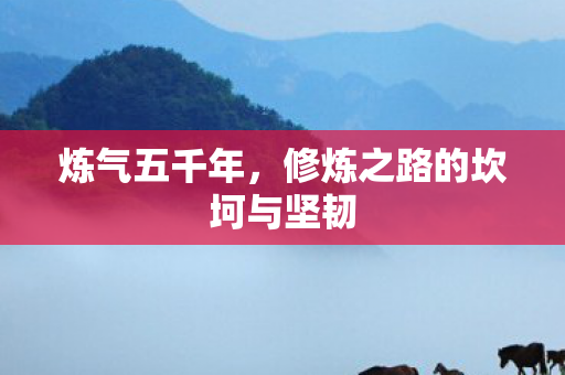 炼气五千年，修炼之路的坎坷与坚韧