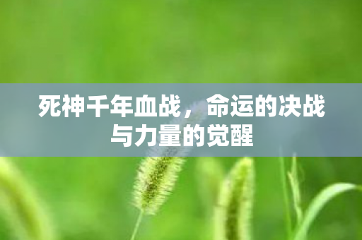死神千年血战,命运的决战与力量的觉醒 死神千年血战,命运的决战与力量的觉醒