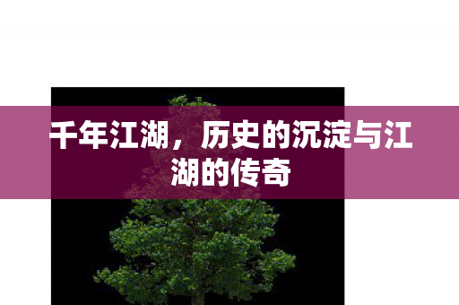 千年江湖,历史的沉淀与江湖的传奇 千年江湖,历史的沉淀与江湖的传奇