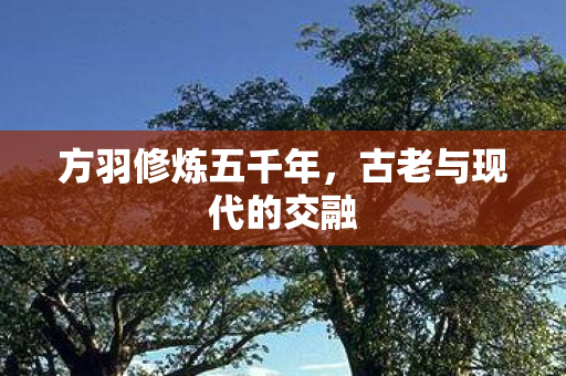 方羽修炼五千年,古老与现代的交融 方羽修炼五千年,古老与现代的交融