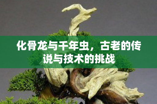 化骨龙与千年虫，古老的传说与技术的挑战