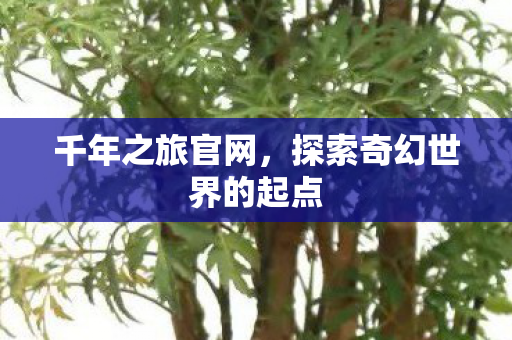 千年之旅官网,探索奇幻世界的起点 千年之旅官网,探索奇幻世界的起点
